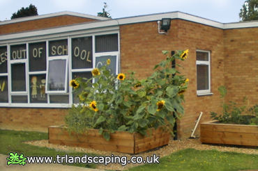 Constructed New Wooden Planters For School Yard